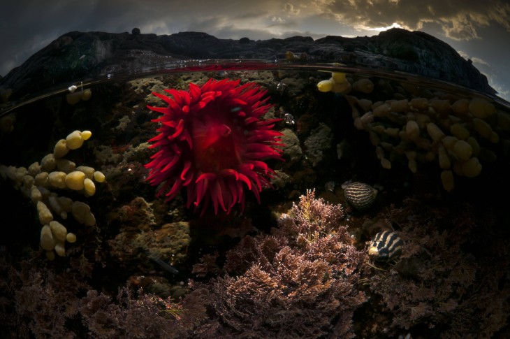 Fotografía de la superficie del mar en el Océano Rose en Australia 