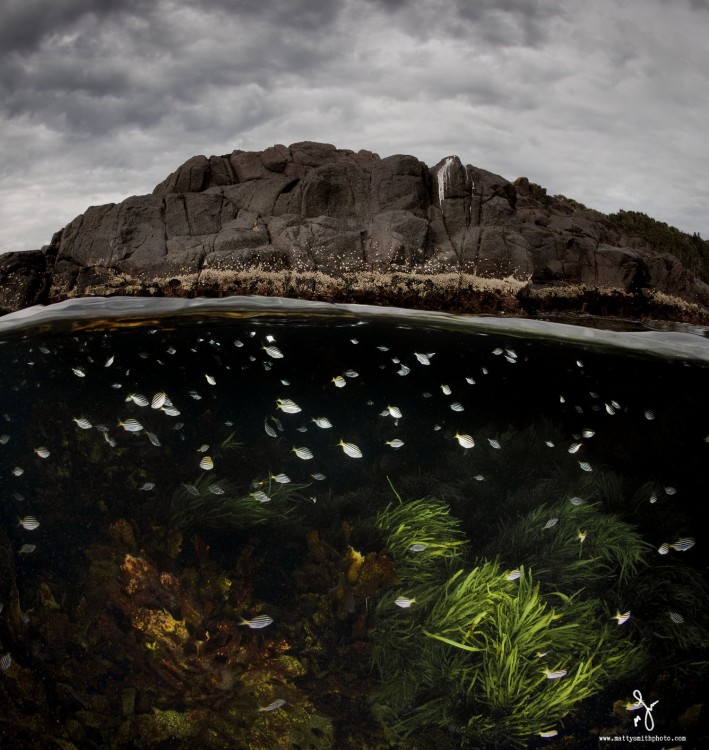 Fotografía que muestra la mitad de una montaña y la mitad de la superficie del mar 