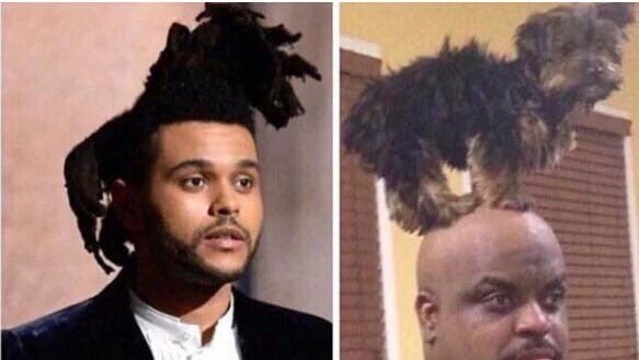 Meme del peinado del cantante Weeknd con la de un hombre con un perro en la cabeza 