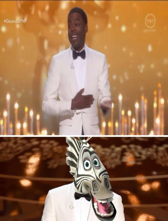 Los mejores memes de los Oscars 2016 