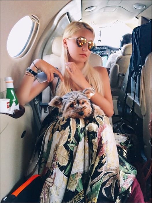 Chica rica de Londres sobre su jet privado con un perro en sus piernas 