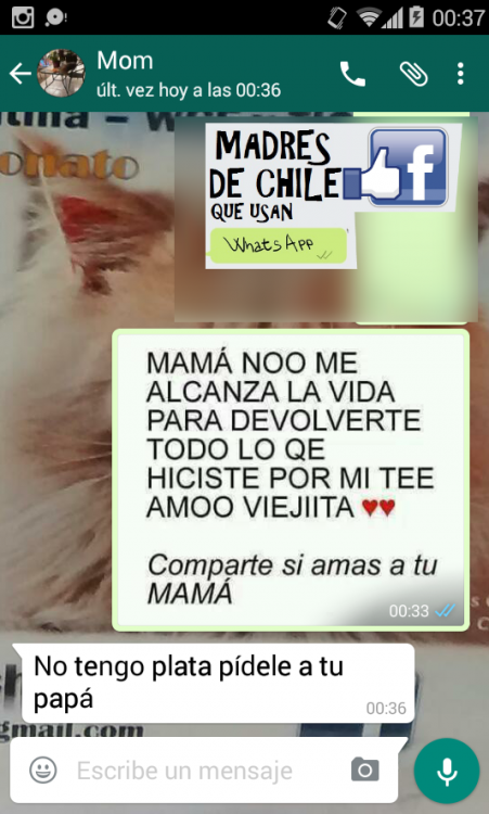 LAS MADRES CUANDO MANDAN MENSAJES DE TEXTO