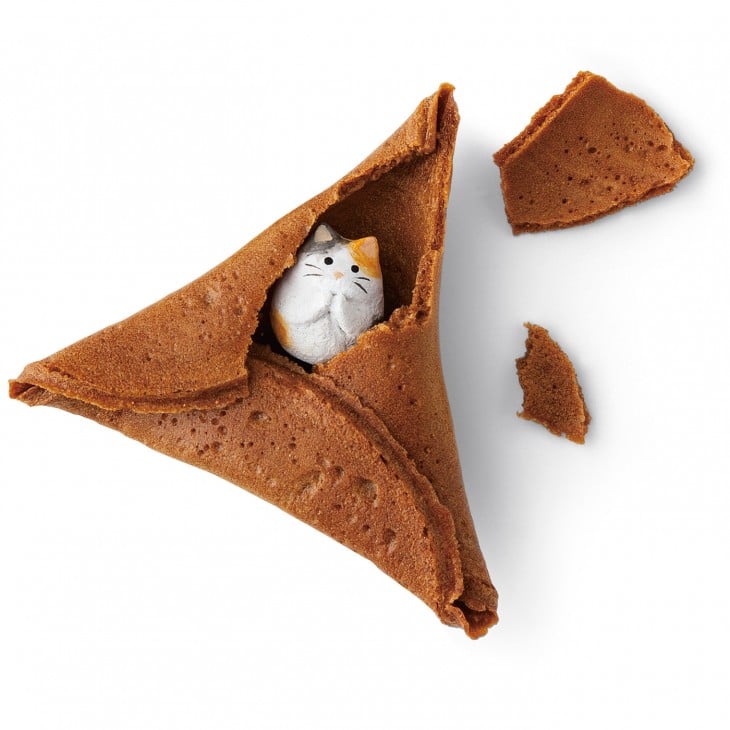 galletita de gato