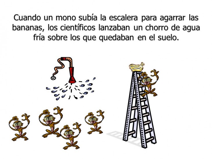 ilustración que muestra la parábola de los cinco monos 