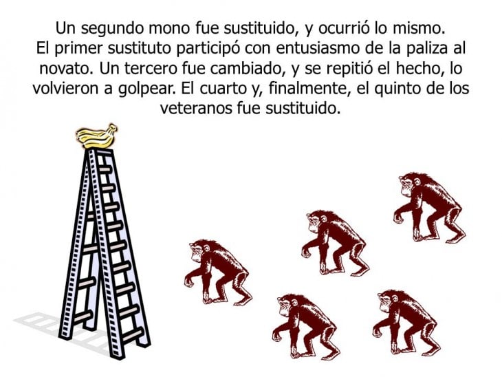 "El Cambio", la parábola ilustrada por 5 monos 