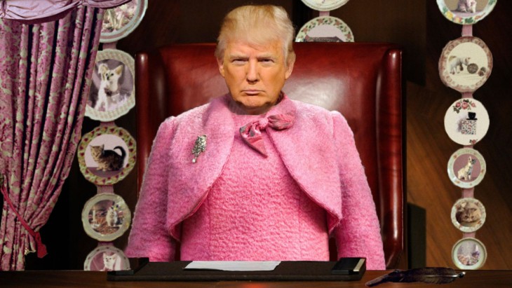  Donal Trump y Dolores Umbridge fusionados 