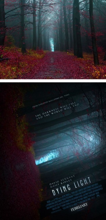 Fotografía de un paisaje convertido en un poster de película falso titulada "Dying Light "