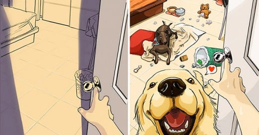 La Vida Antes y Después De Tener Un Perro