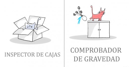 trabajos de gatos