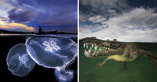 increíbles fotografías que combinan la superficie y el mar