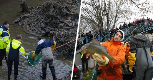 Limpian después de 15 años canal Francés