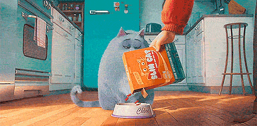 gato animado aventando su plato de comida
