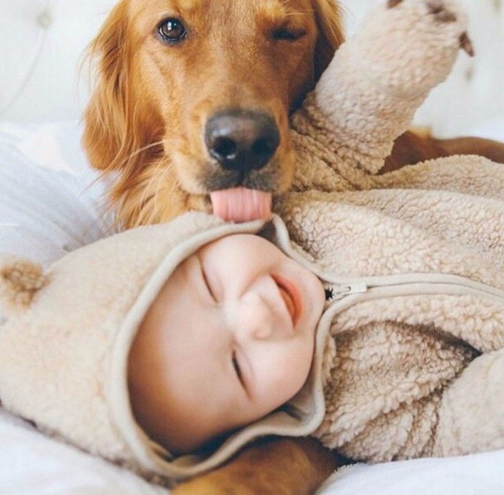 perro besando a niño y lo llena de saliva