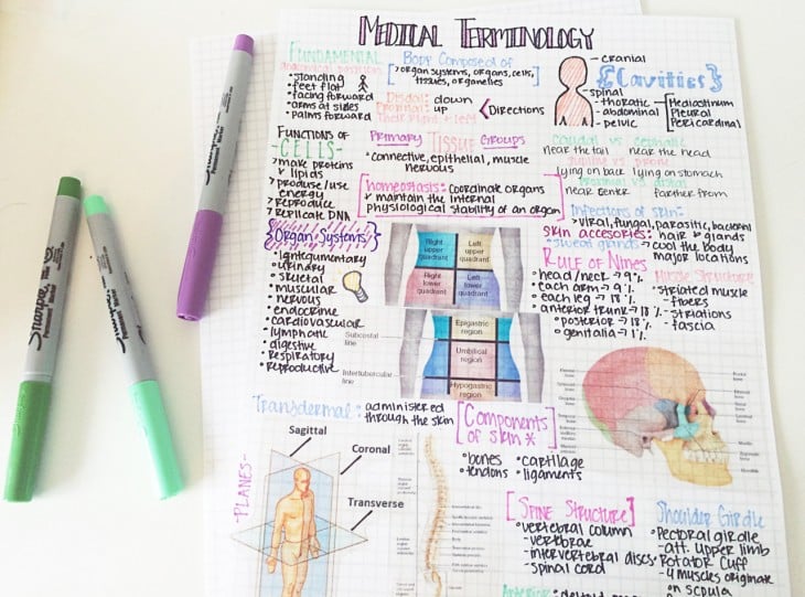 Apuntes con dibujos perfectamente alineados y plumones de colores a un costado 