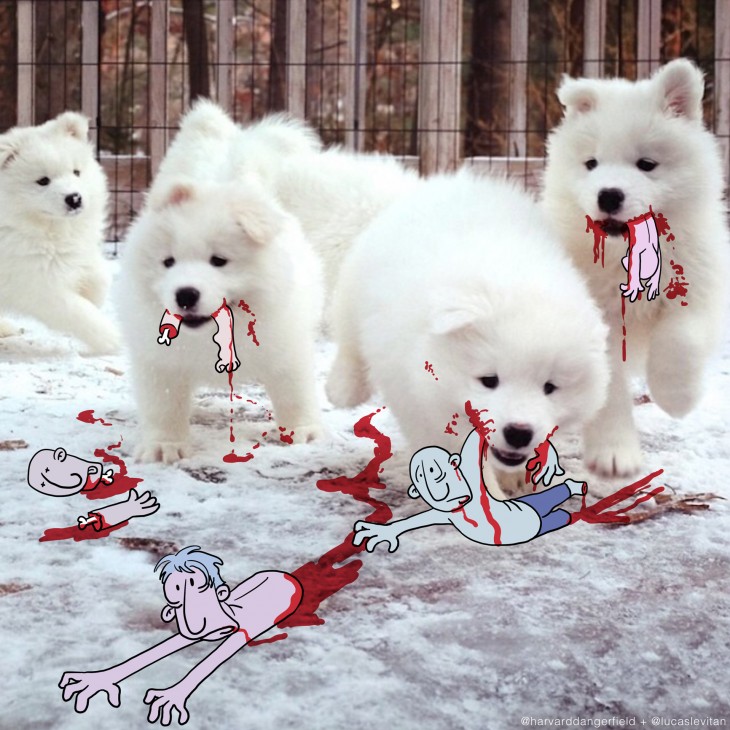 divertida ilustración de cuatro perros blancos con dibujos de personas sobre sus hocicos 