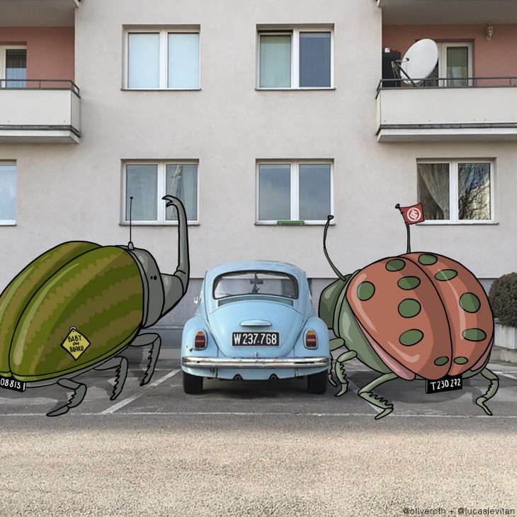 Fotografía de un bocho en medio de dos dibujos de escarabajos gigantes 