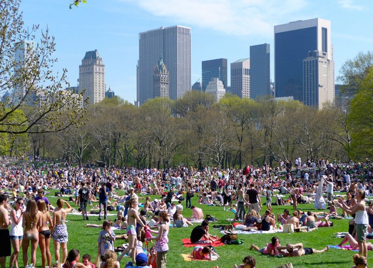 central park lleno de gente en día de campo