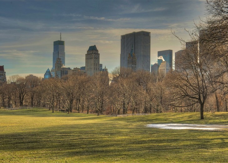 solitario central park en otoño