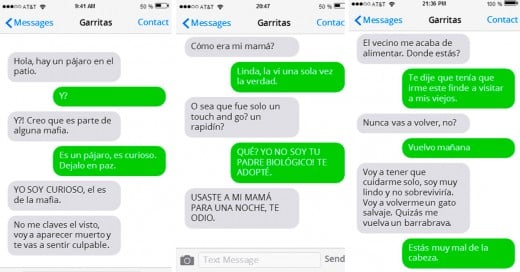 conversación de Whatsapp con tu gato