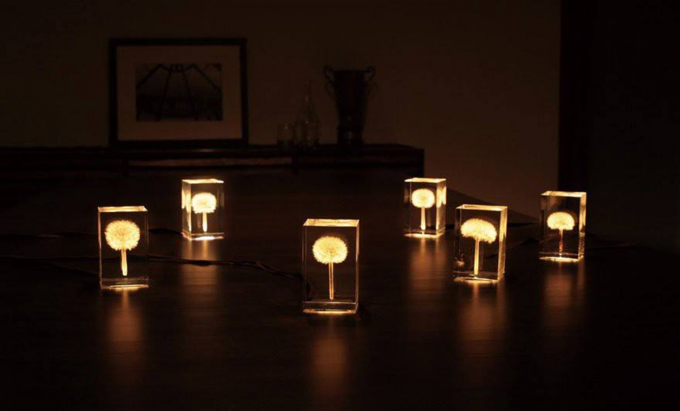 25 diseños de lámparas impresionantes para el hogar dandelion light
