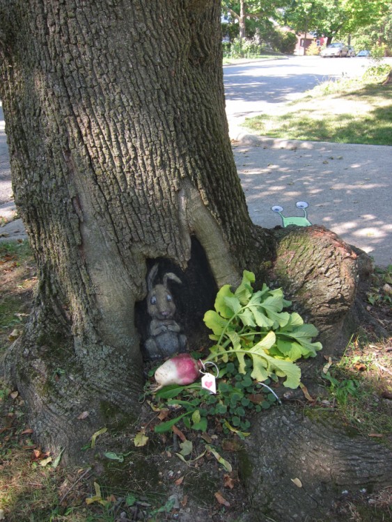 David Zinn creo un dibujo hecho con tiza sobre un árbol interactuando con la naturaleza 