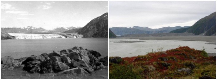 Glaciar Carroll en Alaska fotografía de agosto de 1906 y de septiembre de 2003 