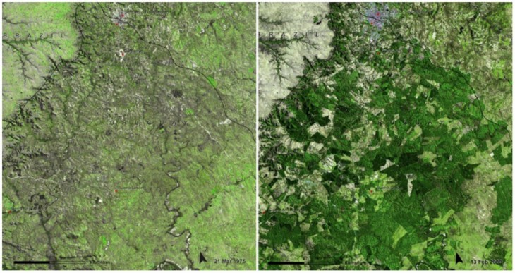 Bosques de Uruguay, Marzo de 1975 y febrero de 2009
