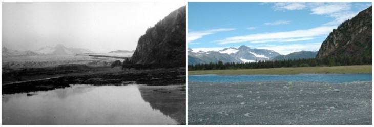  Glaciar Oso en Alaska, Julio de 1909 - Agosto de 2005