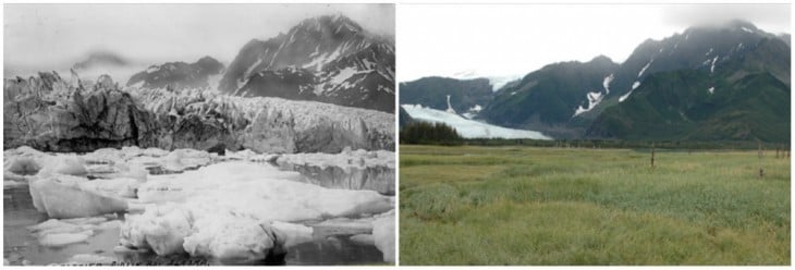 Fotografía del antes y ahora del Glaciar Pederson en Alaska