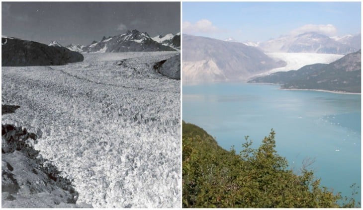 Glacial Muir, Alaska. Agosto de 1941 y agosto de 2004