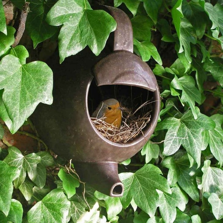 nido de pájaro dentro de una tetera vieja en medio de plantas 