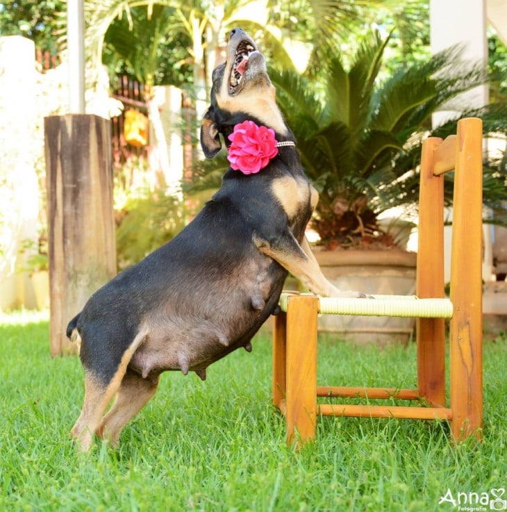 lilita estirando la barriga en una silla