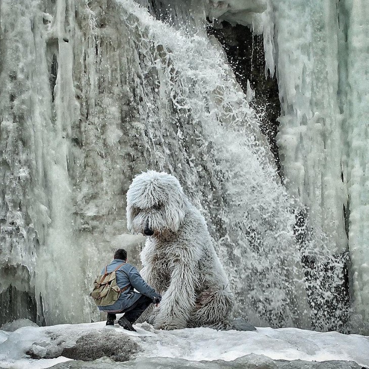 juji en la nieve