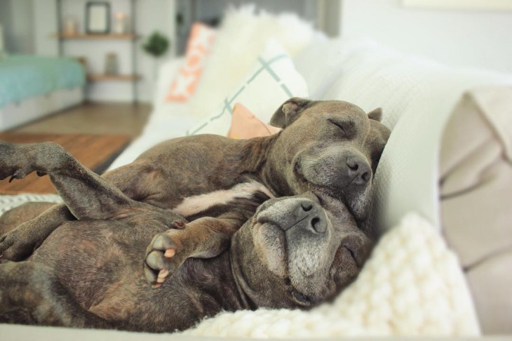 dormidos en la misma cama