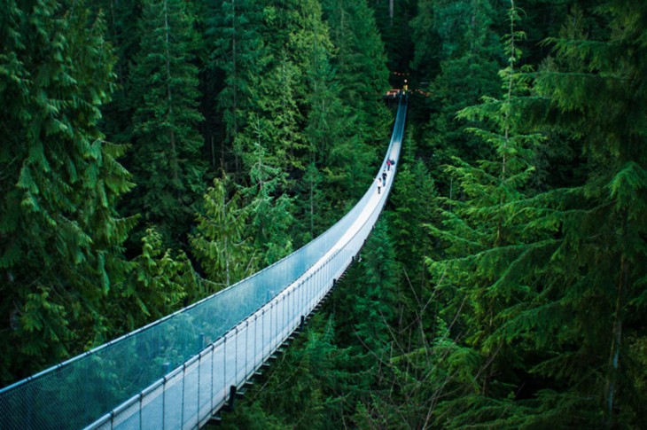 puente colgante capilano en vancouver