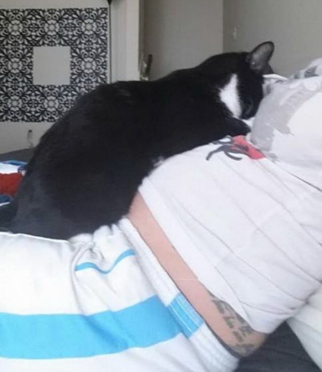 gato recostado sobre el vientre de una mujer que está acostada 