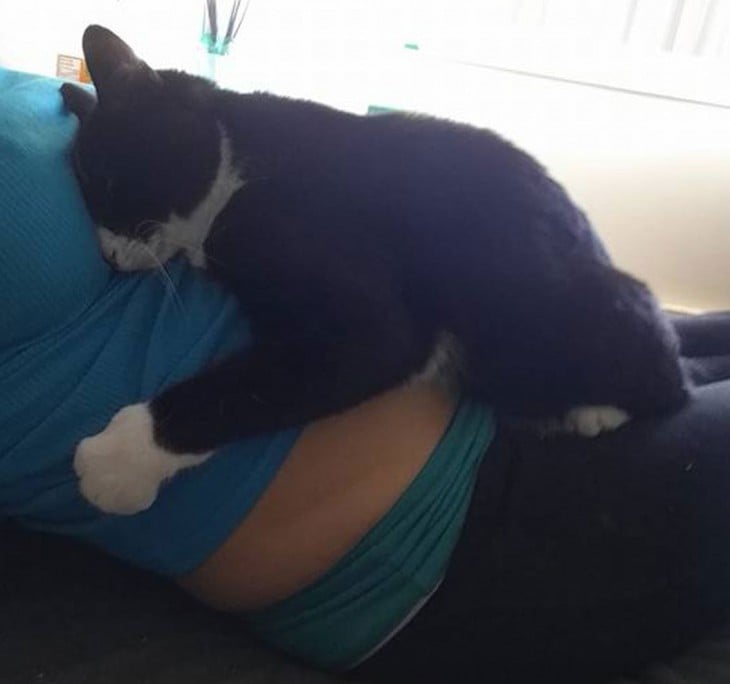gato negro con manchas blancas acostado sobre la panza de una mujer 