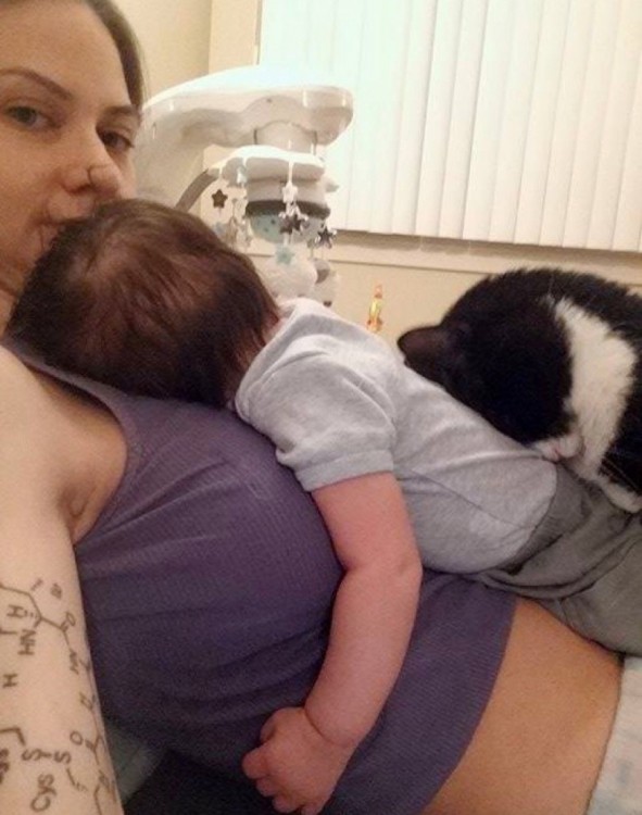 mujer con un bebé acostado sobre su viente y un gato recargando la cabeza sobre su espalda 