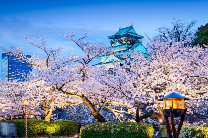 SAKURA VISTO DE LOS LUGARES SAGRADOS