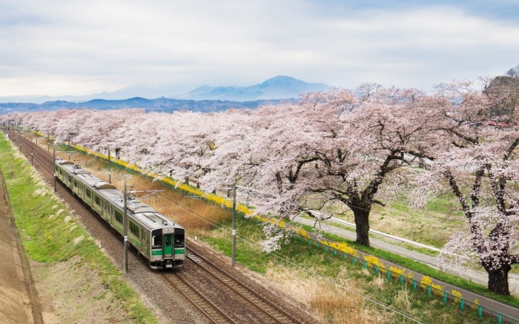 SAKURA VIAJANDO EN EL METRO