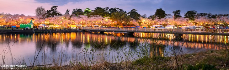 SAKURA EN EL RIO