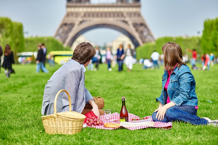 un romantico dia de campo frente a la torre eiffel 