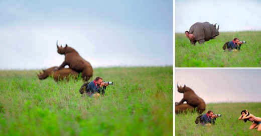 cómo trollear a un Fotógrafo Profesional