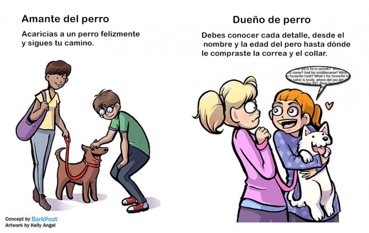 diferencias entre amante de perro y dueño de perro cuando ves algun perro en la calle