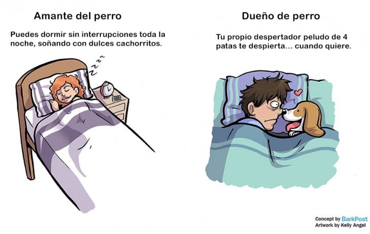 diferencia entre amantes de perro y dueños de perro cuando duermes