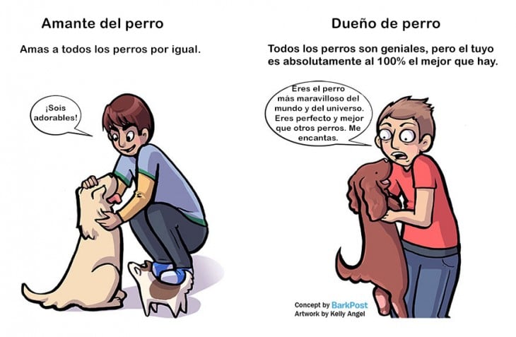 amante de perro ama a todos los perros por igual dueño de perro cree que el suyo es el mejor