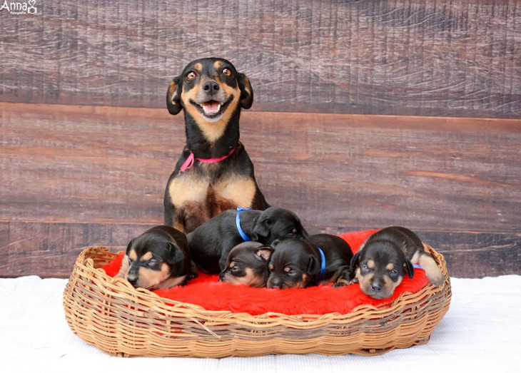 lilica posa sonriendo con sus 5 cachorros