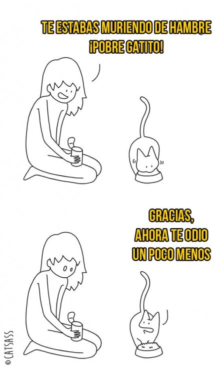 ilustración de dueña dando comida a su gato