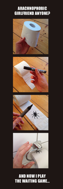 papel de baño con un dibujo de una araña