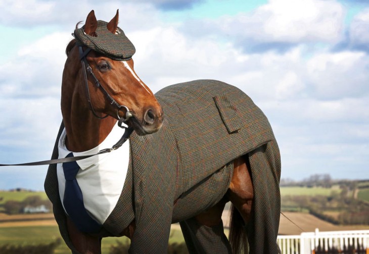 confeccionan traje tweed para caballo en Inglaterra